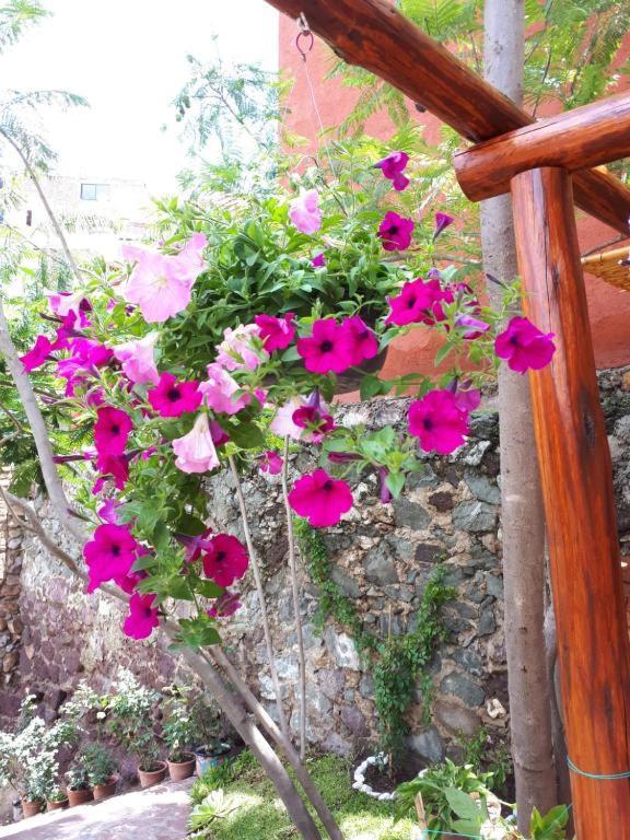 Casita Privada Del Chan Guanajuato Luaran gambar