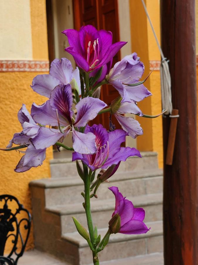 Casita Privada Del Chan Guanajuato Luaran gambar